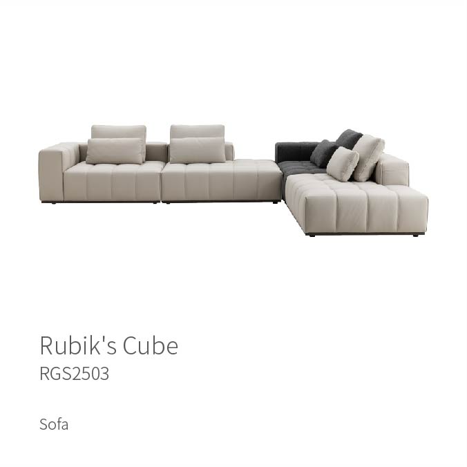 Rubik's Cube RGS2503